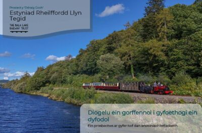 Rydym wedi bod yn cydweithio i gynhyrchu prosbectws ar gyfer Prosiect y Ddraig Goch